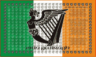 Irish Table Flags